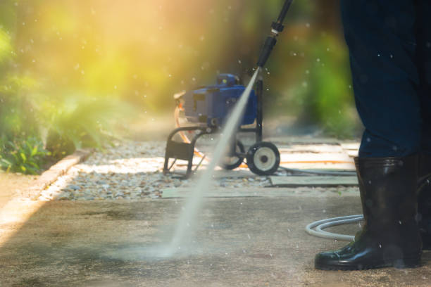 Animal Enclosure Cleaning in East Berwick, PA